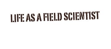 Life as a field scientist
Link to My blog: